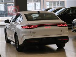 بي واي دي كوين L DM-i